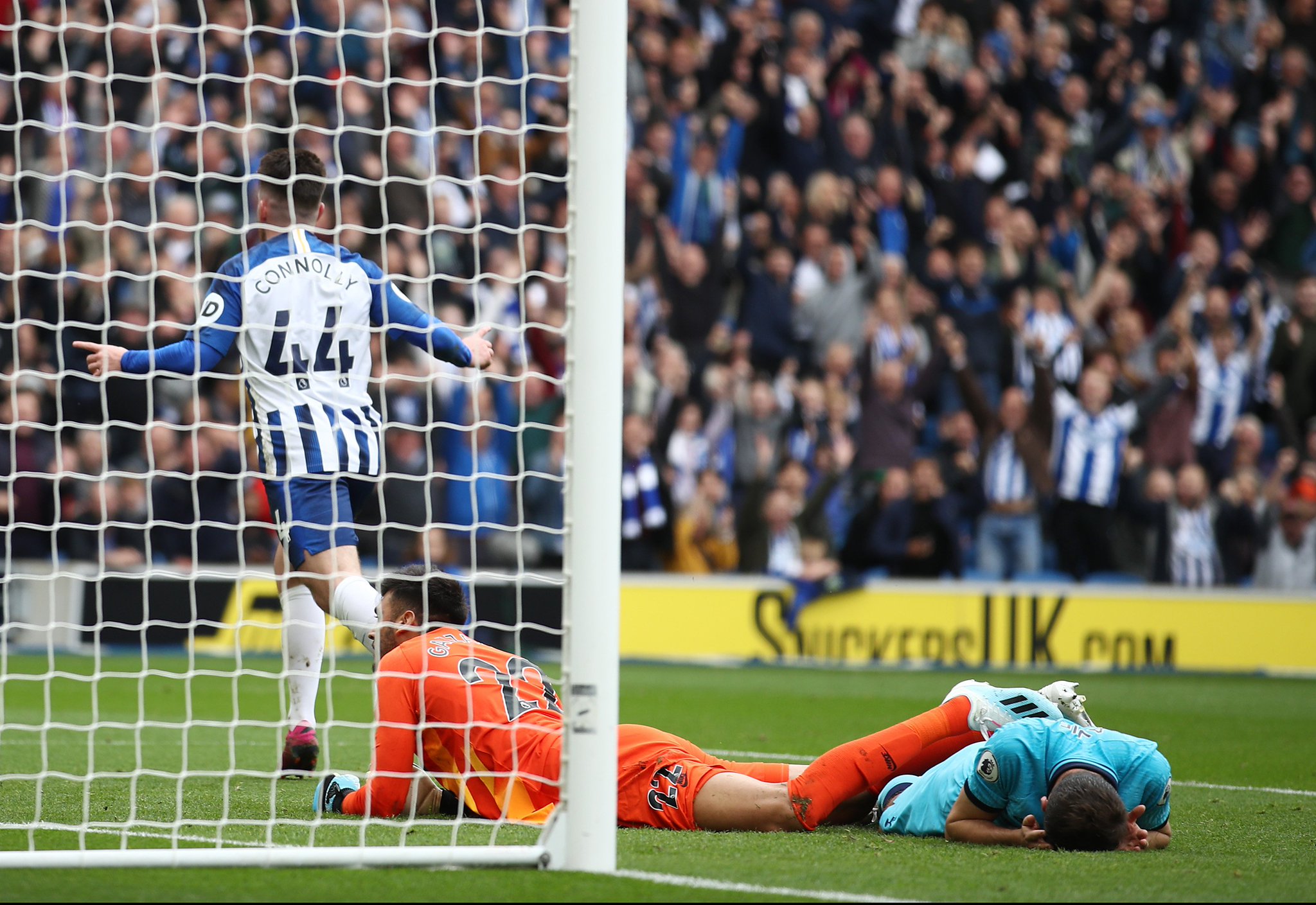 球迷同样有 球迷同样有