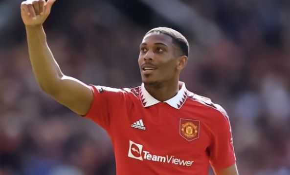 析师约翰 析师约翰