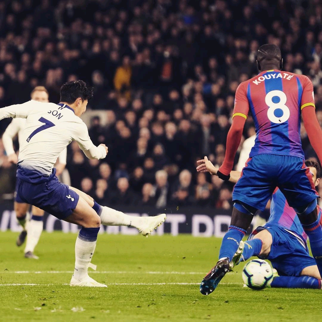 浦的替代策 浦的替代策